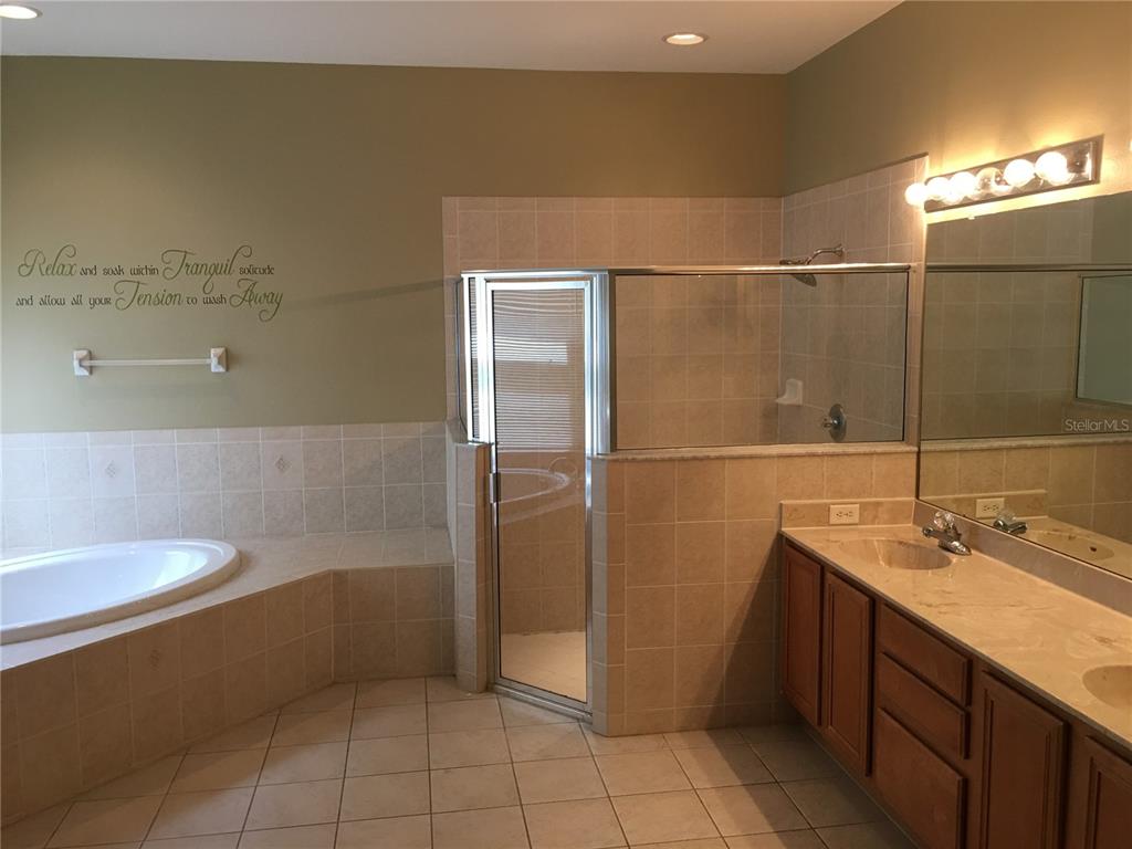 18047 Java Isle Drive Tampa, FL 33647 - Photo 10 of 21 a bathroom with a sink a toilet and mirror