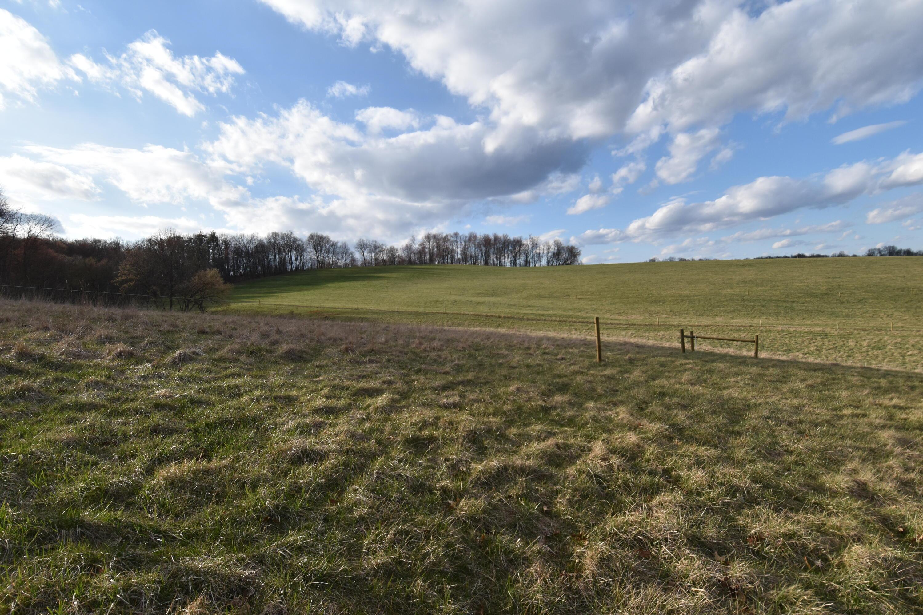 18535 Crawmer Road Southeast Newark, OH 43056 - Photo 9 of 25 18535 Crawmer Rd - 11