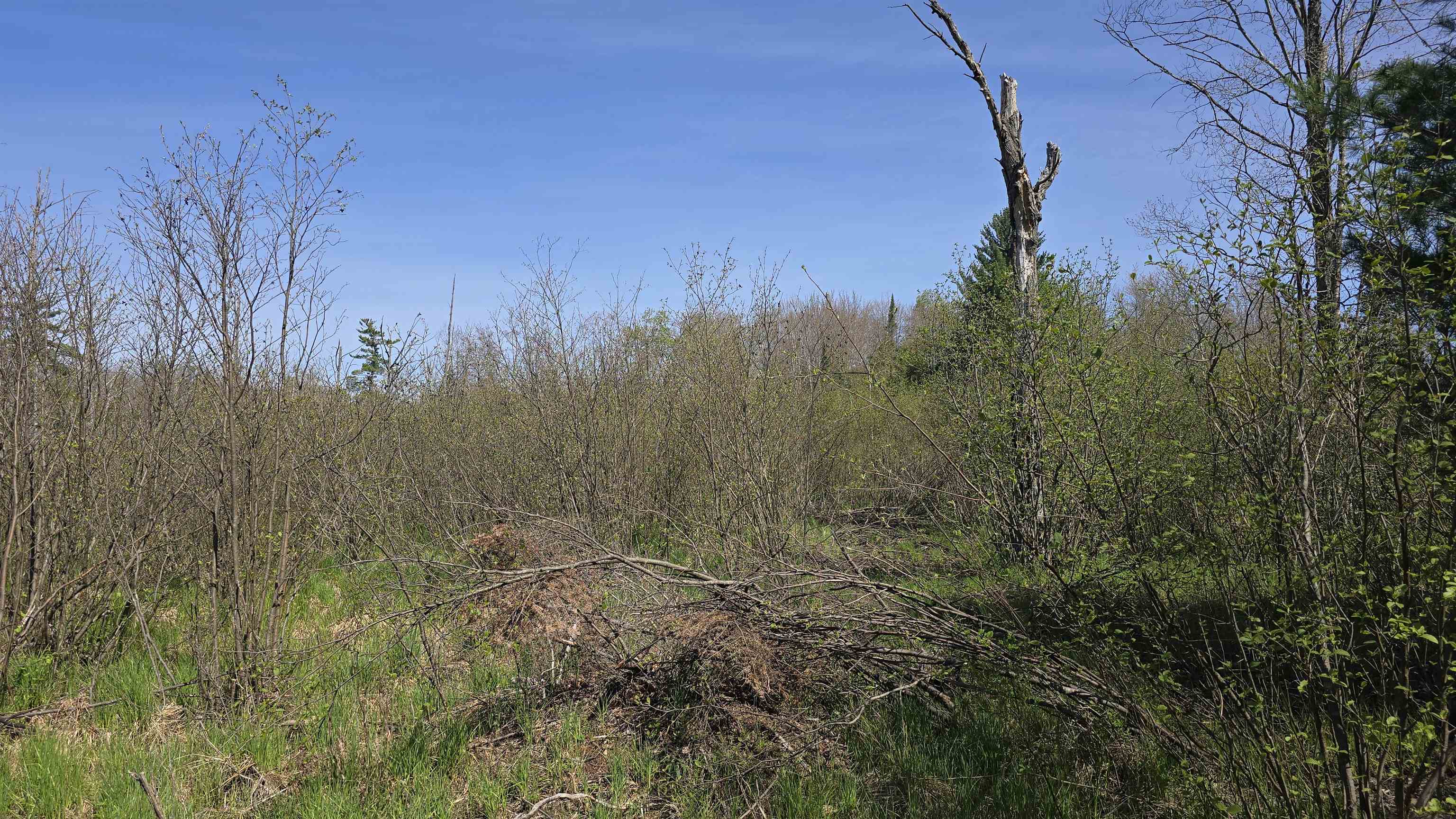 0 Lund Road Southwest Fife Lake, MI 49633 - Photo 12 of 39