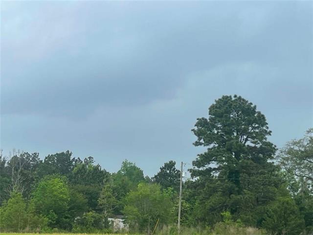 1231 Hooper Road Pineville, LA 71360 - Photo 5 of 5