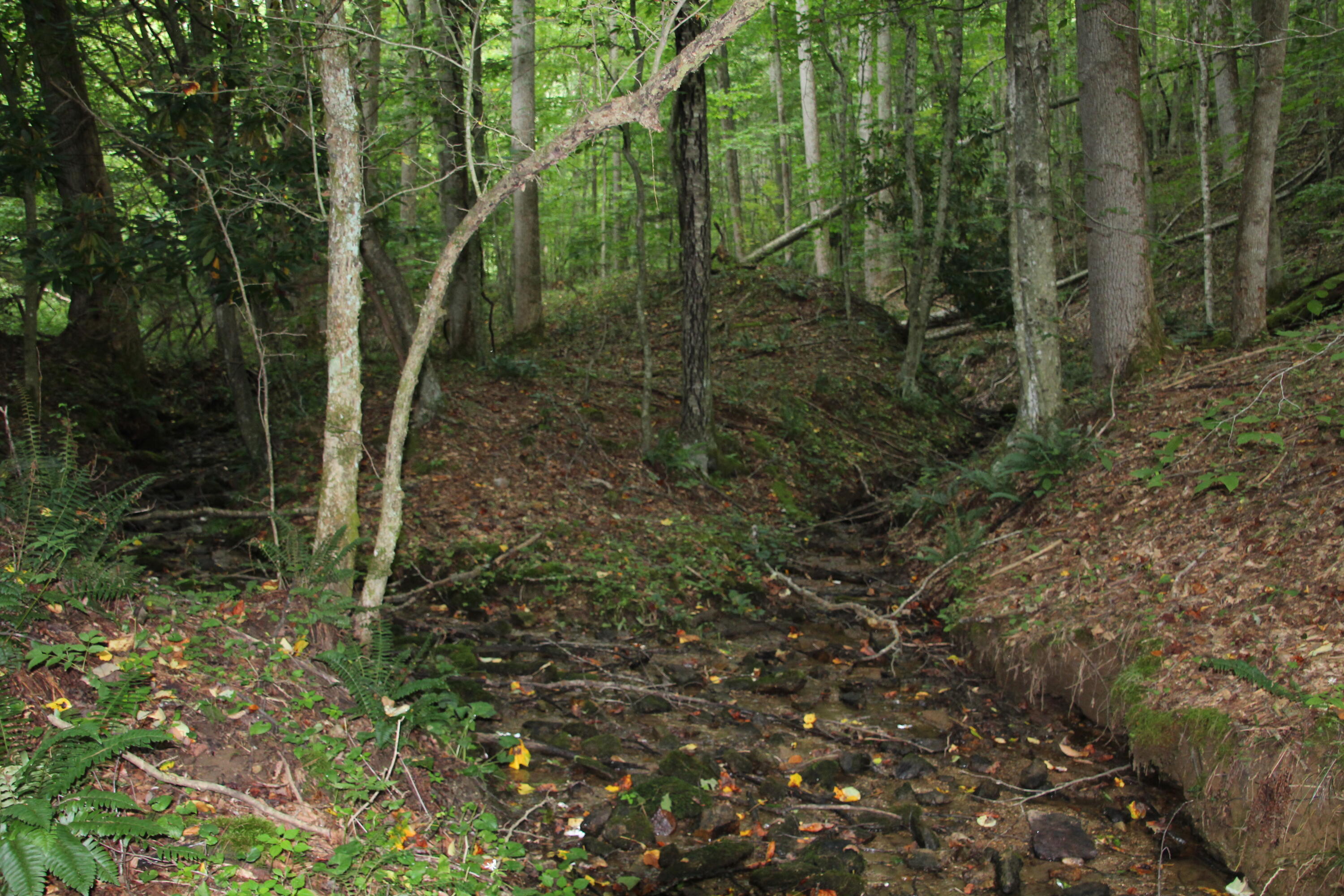 SECLUDED 15.36 ACRES , CREEKS & SPRING!
