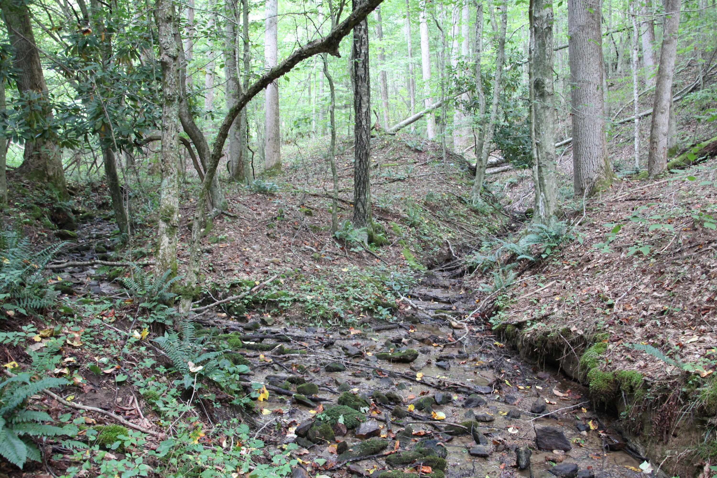 TWO CREEKS COMING TOGETHER