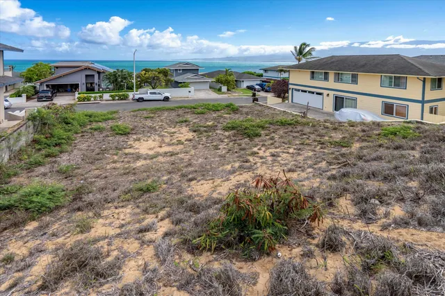 a view of a house with a yard and plants