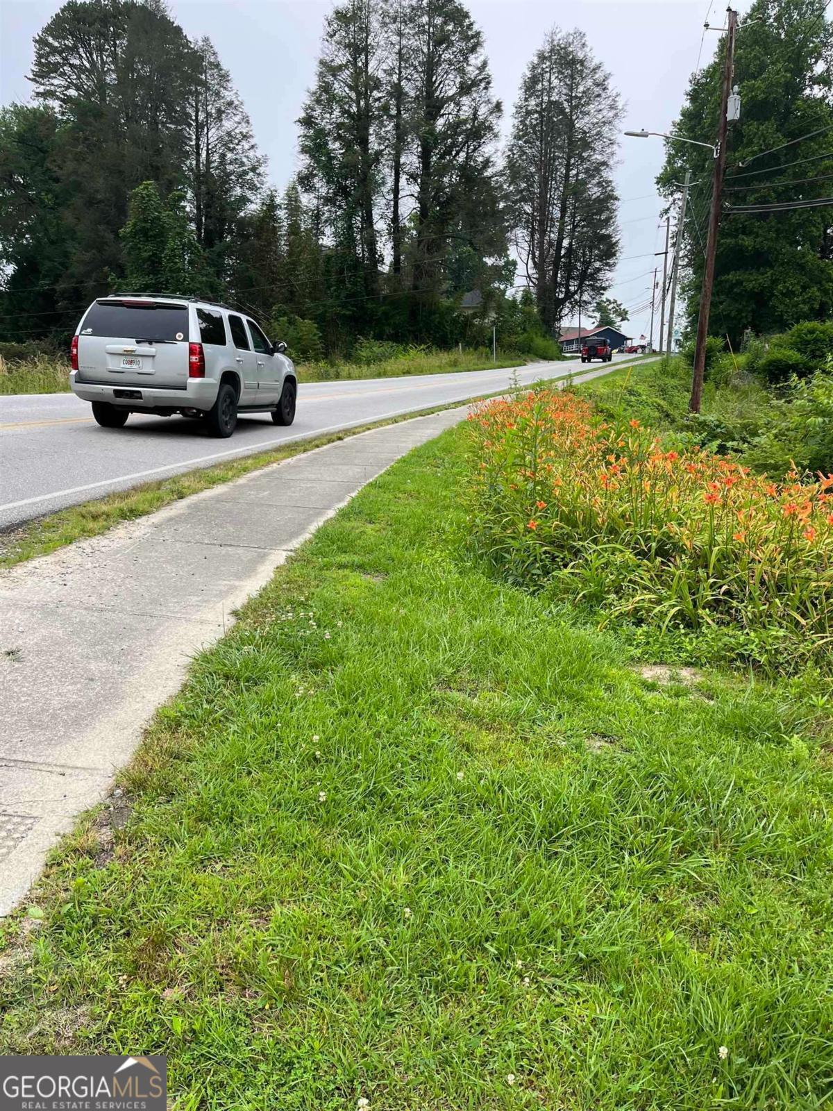 335 South Main Street Clayton, GA 30525 - Photo 3 of 4 a house view with a garden space