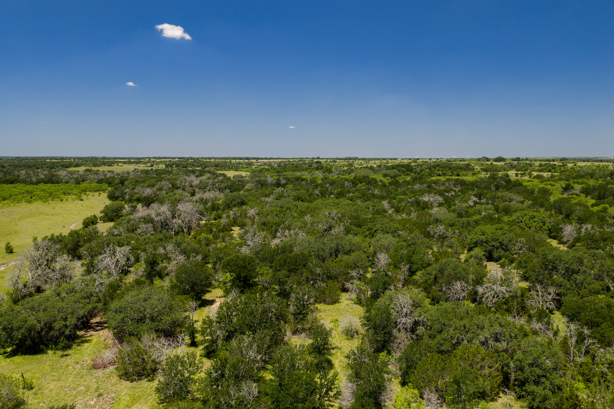 180 72 Ac Road Purmela, TX 76566 - Photo 33 of 33
