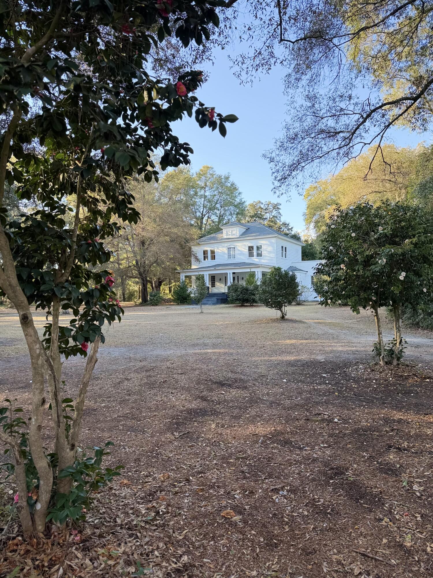 1217 Wichman Street Walterboro, SC 29488 - Photo 2 of 43 IMG_3094