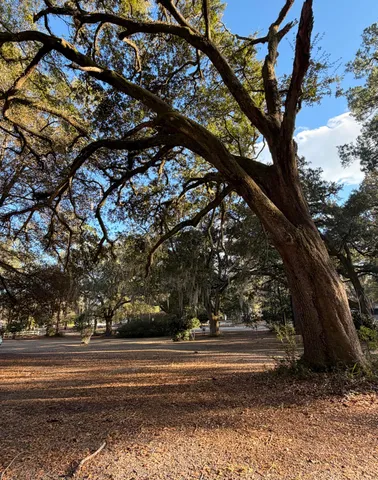 $499,900 | 1217 Wichman Street, Walterboro, SC 29488