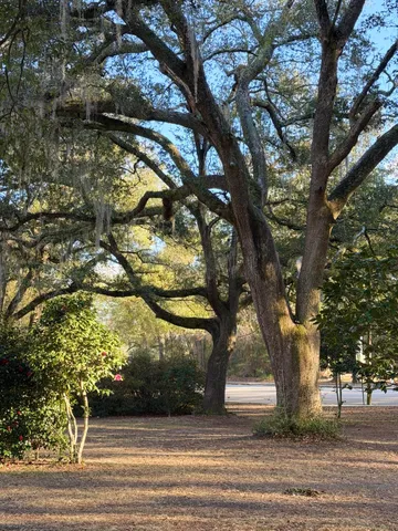 $499,900 | 1217 Wichman Street, Walterboro, SC 29488