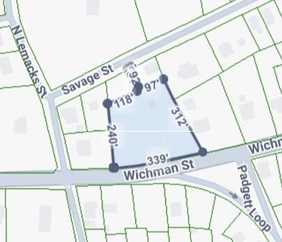 1217 Wichman Street Walterboro, SC 29488 - Photo 42 of 43 IMG_8084