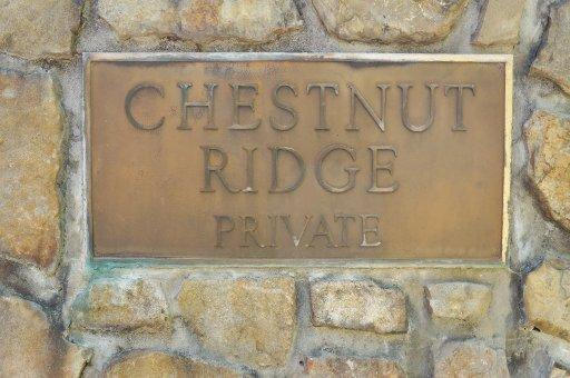 Chestnut Ridge