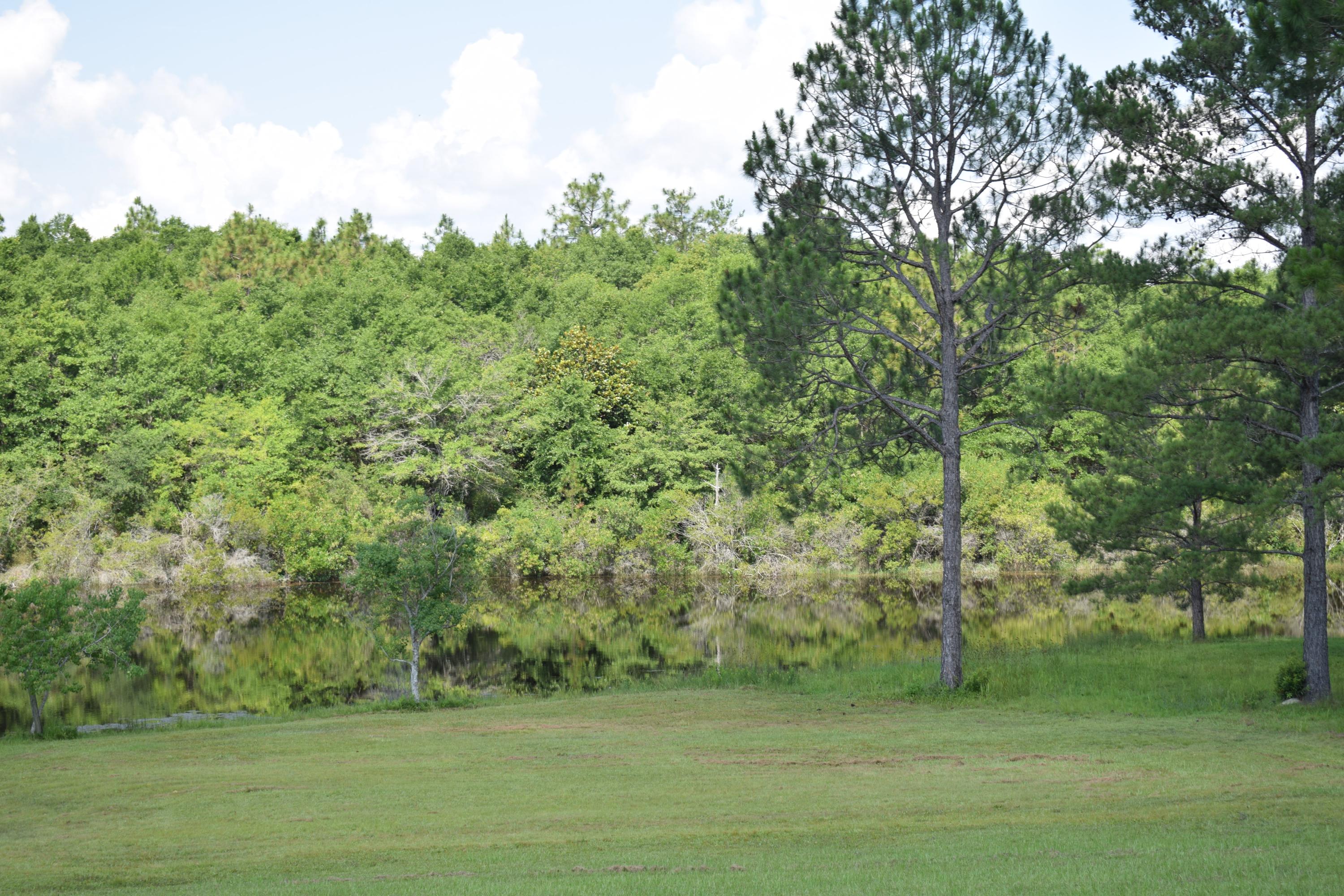 5328 Monterrey Road Crestview, FL 32539 - Photo 17 of 19 Gallery Image 17