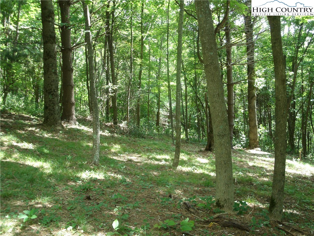Lot 4-5 Doe Ridge Estates Boone, NC 28607 - Photo 3 of 5
