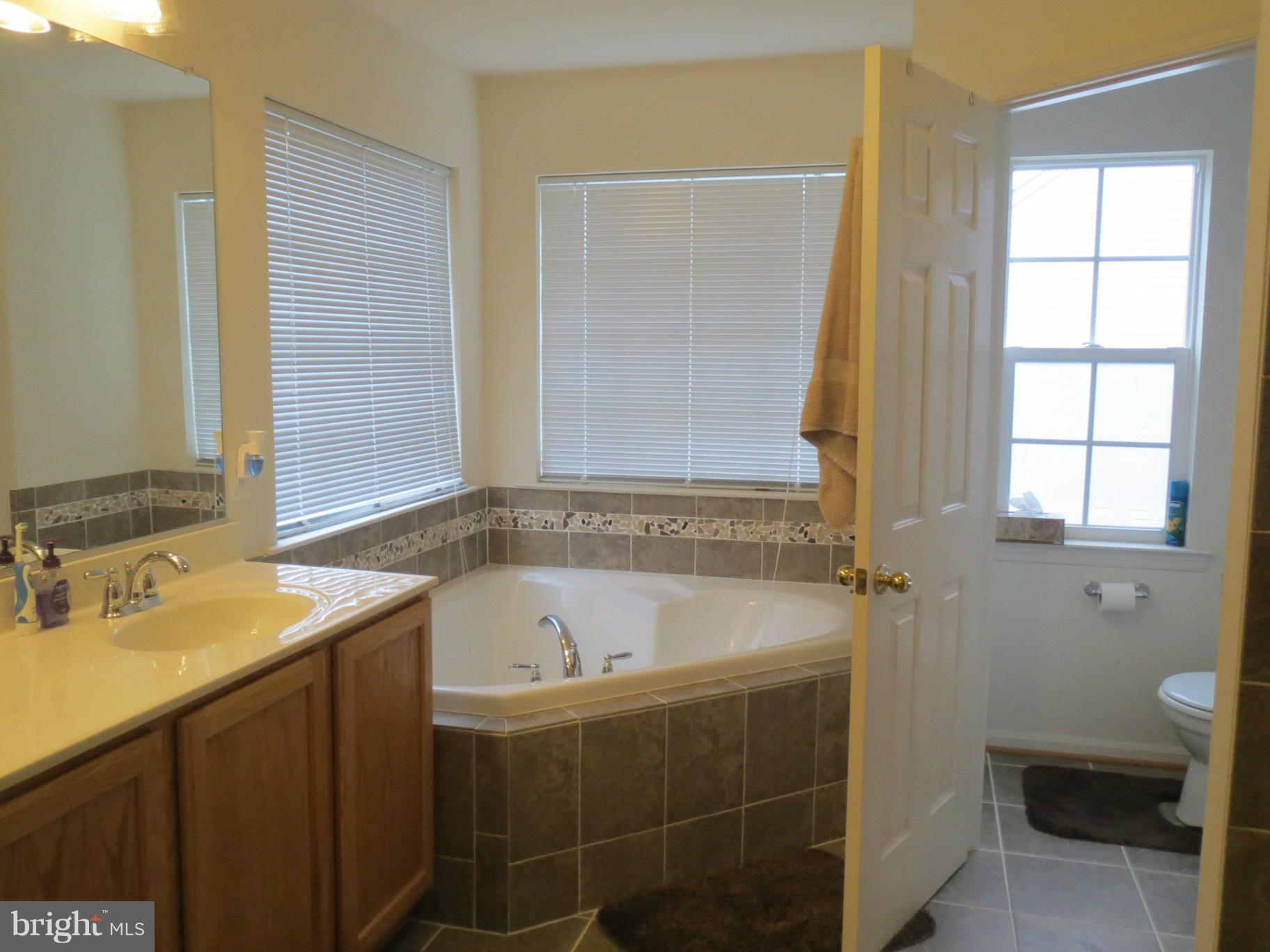 6504 Clarington Road Baltimore, MD 21209 - Photo 15 of 29 Bath (Master)