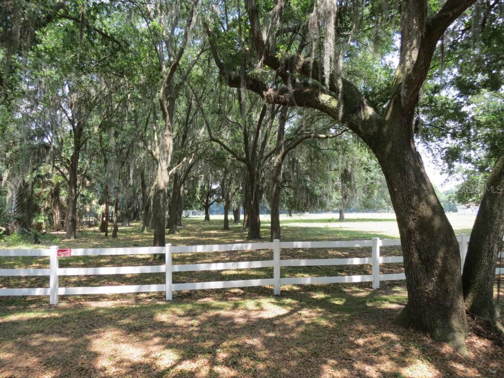 0 Bryant Road Lithia, FL 33547 - Photo 1 of 1 Gallery Image 1