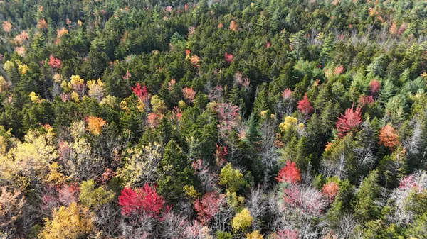 $223,500 | 20-078 East Blue Hill Road, Blue Hill, ME 04614