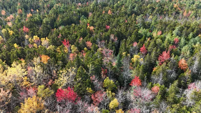 $223,500 | 20-078 East Blue Hill Road, Blue Hill, ME 04614