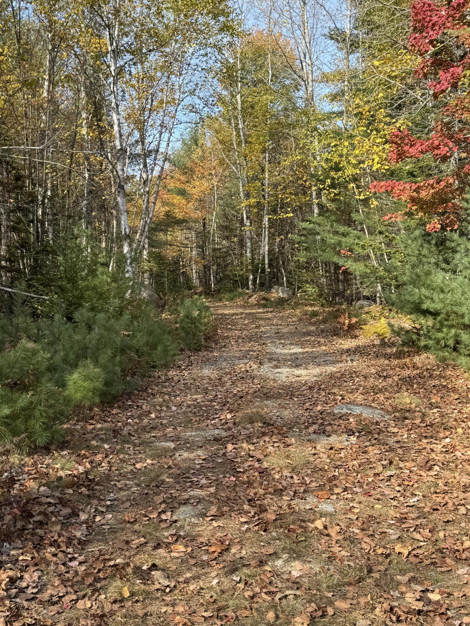 20-078 East Blue Hill Road Blue Hill, ME 04614 - Photo 3 of 4 IMG_6058