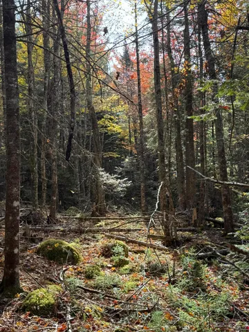 $223,500 | 20-078 East Blue Hill Road, Blue Hill, ME 04614