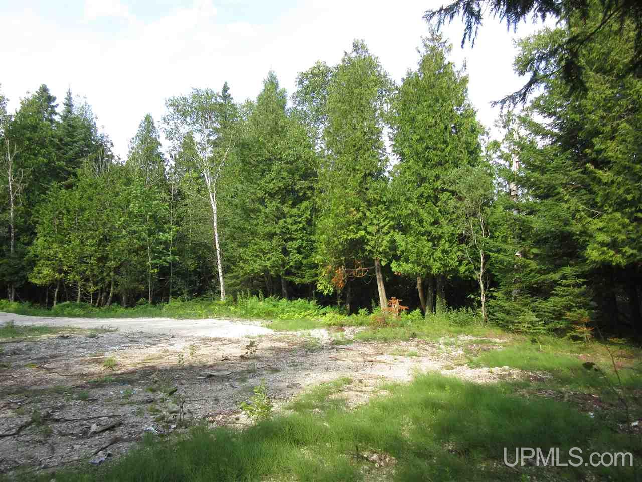3365 West North Gulliver Lake Road Gulliver, MI 49840 - Photo 17 of 17