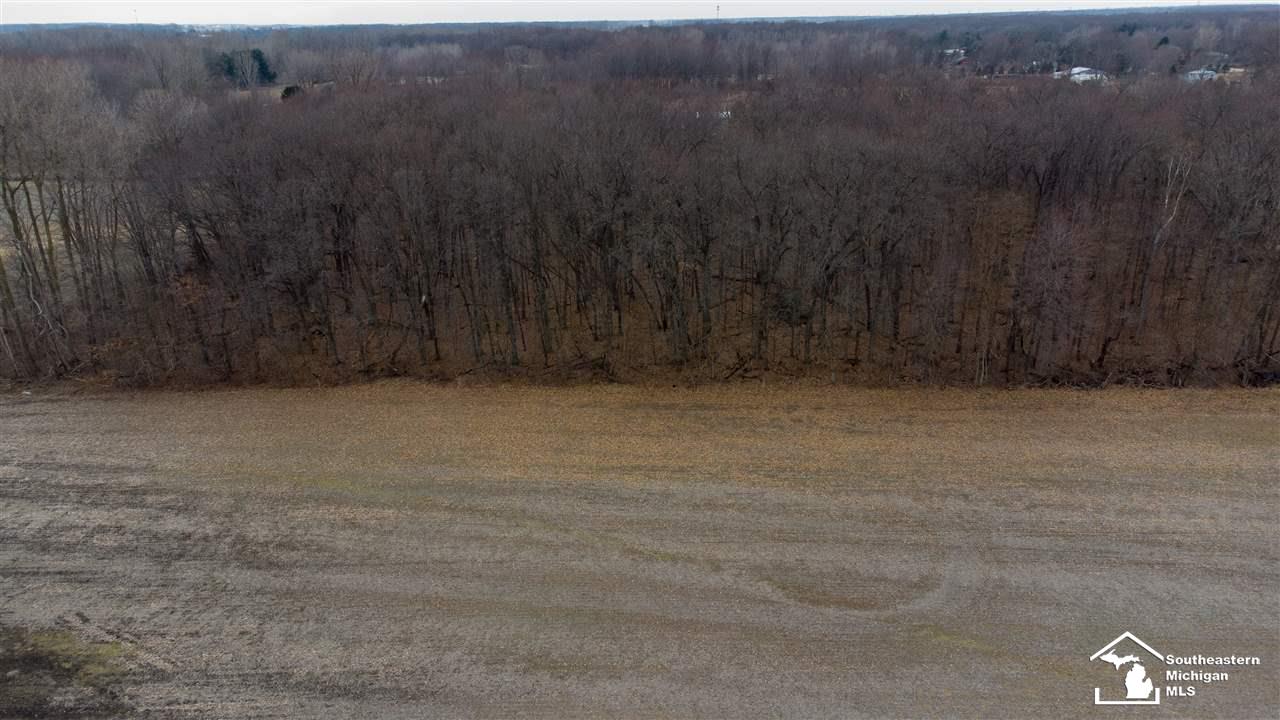 0 Wells Road Petersburg, MI 49270 - Photo 10 of 10