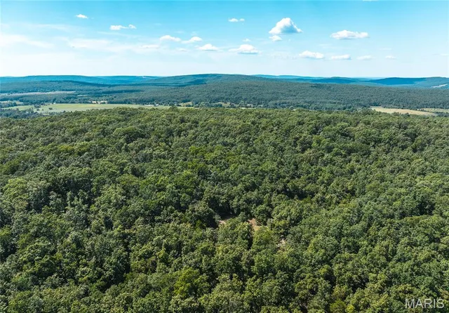 $1,699,999 | 221 Highway Ironton Mo 63650, Ironton, MO 63650