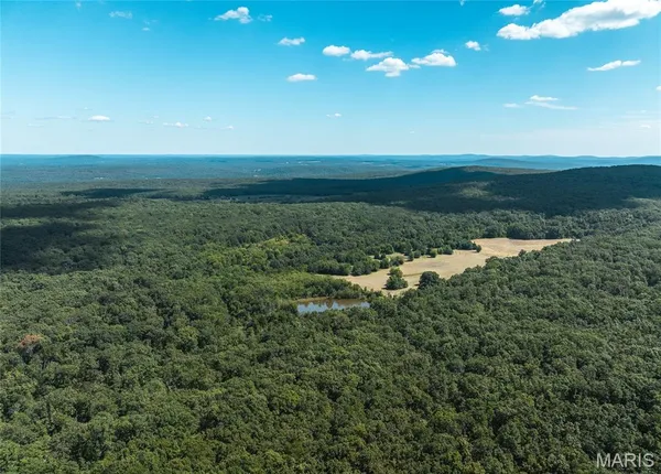 $1,699,999 | 221 Highway Ironton Mo 63650, Ironton, MO 63650