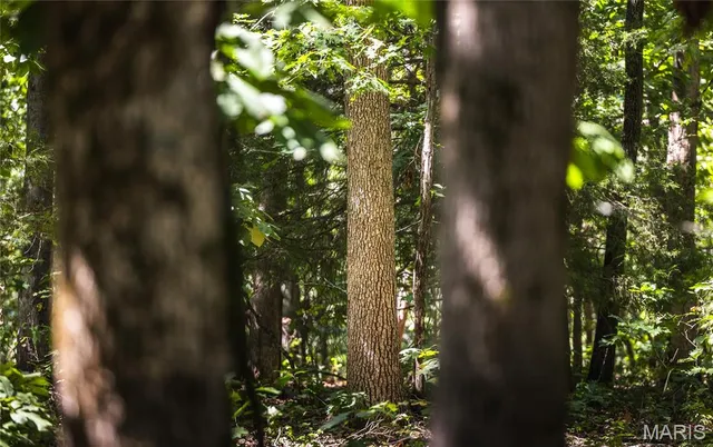 $1,699,999 | 221 Highway Ironton Mo 63650, Ironton, MO 63650