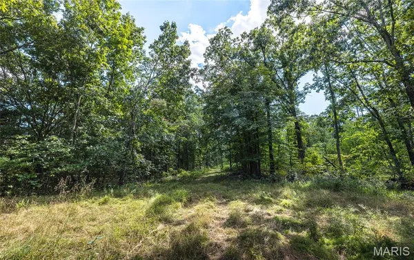 $1,699,999 | 221 Highway Ironton Mo 63650, Ironton, MO 63650
