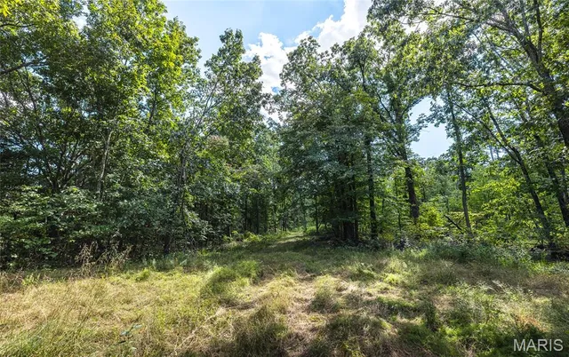 $1,699,999 | 221 Highway Ironton Mo 63650, Ironton, MO 63650