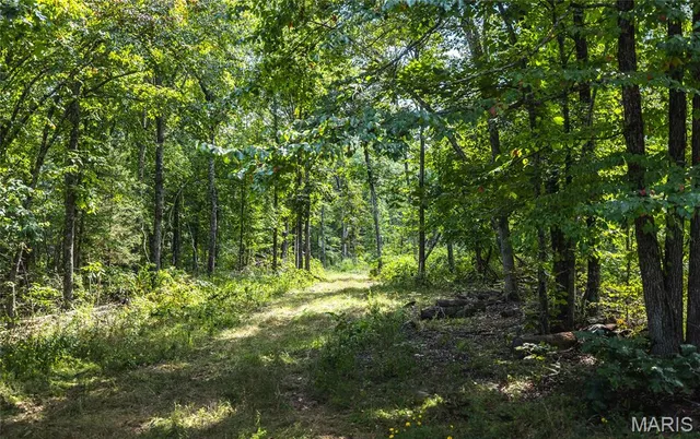 $1,699,999 | 221 Highway Ironton Mo 63650, Ironton, MO 63650