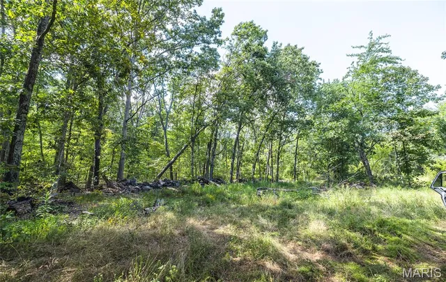 $1,699,999 | 221 Highway Ironton Mo 63650, Ironton, MO 63650