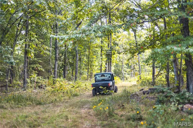 $1,699,999 | 221 Highway Ironton Mo 63650, Ironton, MO 63650