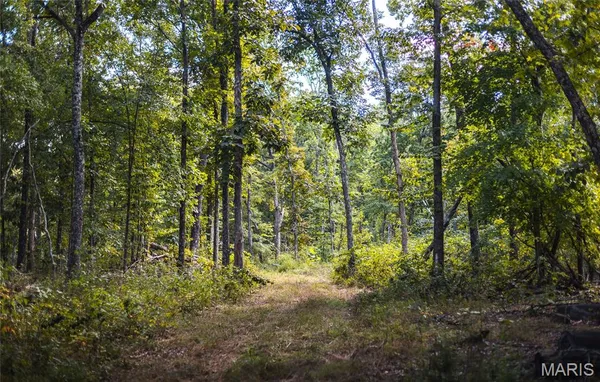 $1,699,999 | 221 Highway Ironton Mo 63650, Ironton, MO 63650