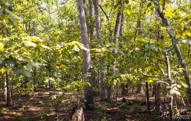 $1,699,999 | 221 Highway Ironton Mo 63650, Ironton, MO 63650