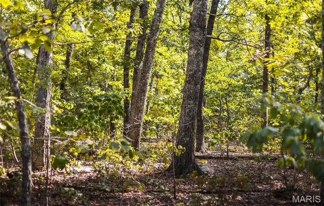 $1,699,999 | 221 Highway Ironton Mo 63650, Ironton, MO 63650