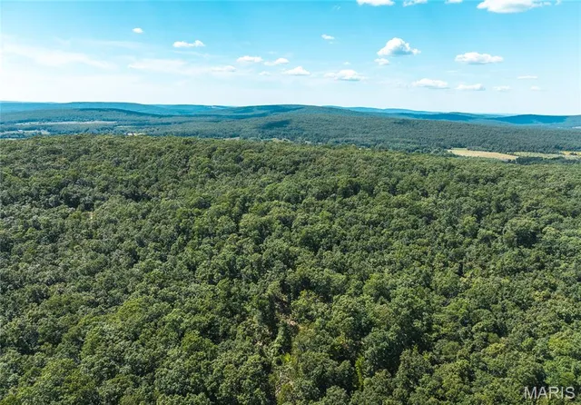 $1,699,999 | 221 Highway Ironton Mo 63650, Ironton, MO 63650