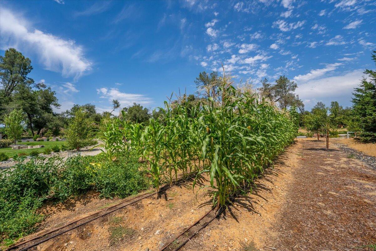 19580 Mockingbird Lane Redding, CA 96002 - Photo 147 of 216 131-19580 Mockingbird Ln - E-60