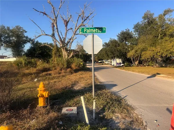 a street view with large trees