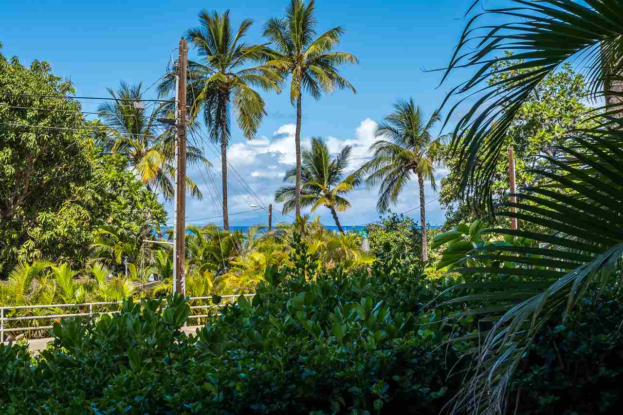 44 Kanani Road, Unit 1107 Kihei, HI 96753 - Photo 10 of 30 Gallery Image 10