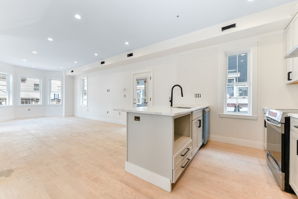 12 Ennis Road, Unit REAR Boston, MA 02119 - Photo 9 of 26 a view of kitchen with windows and dual sinks