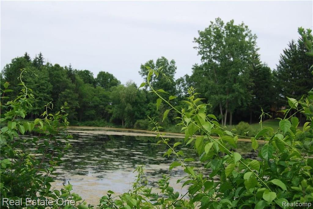 V/l Perry Lake Road Ortonville, MI 48462 - Photo 7 of 30 Gallery Image 7