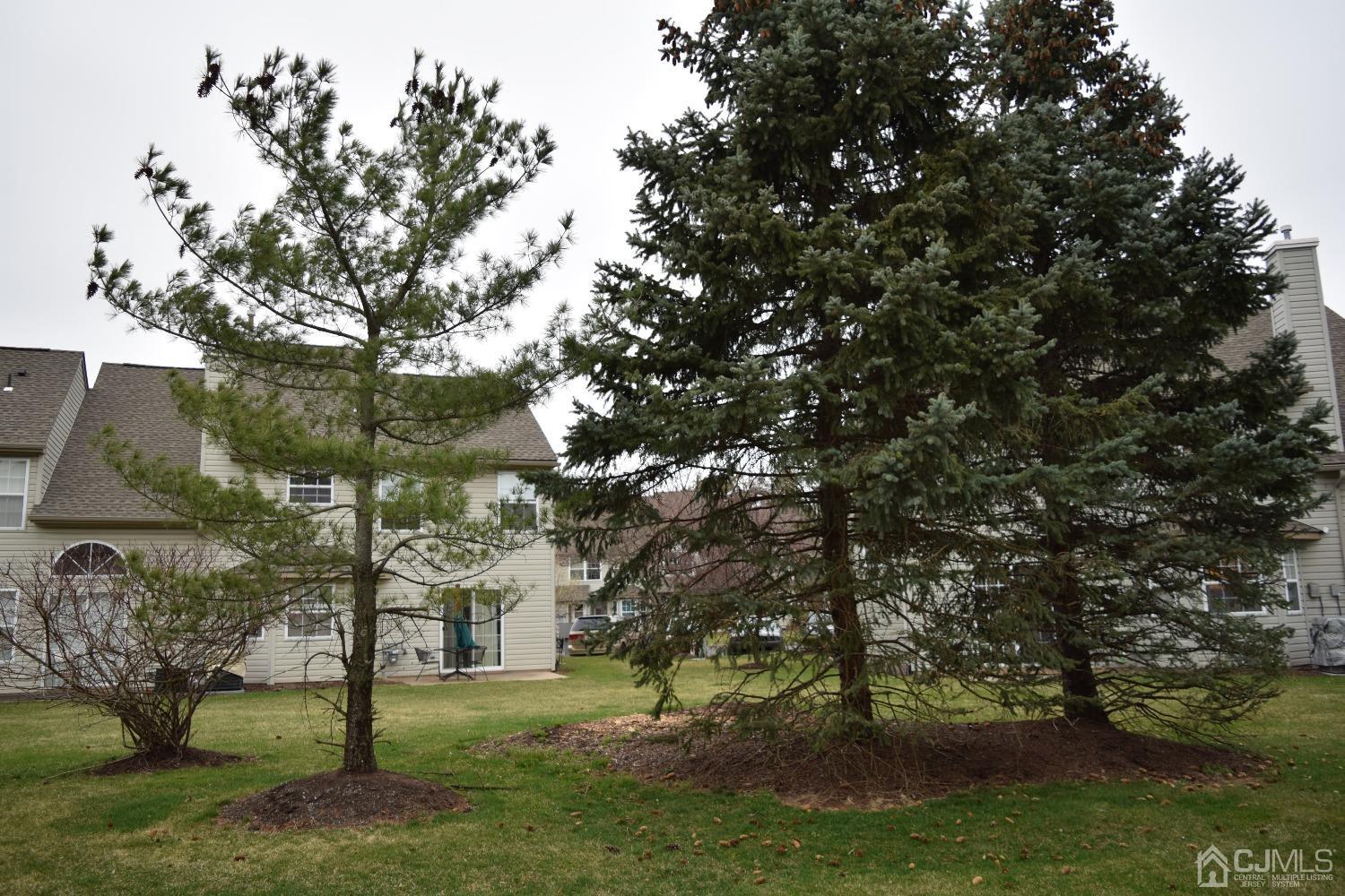 342 Lunar Road Piscataway, NJ 08854 - Photo 3 of 17 a view of a yard with a tree