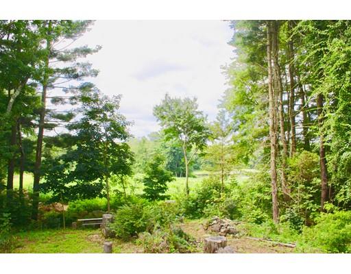 363 Purgatory Road Northbridge, MA 01588 - Photo 11 of 15 a view of a yard with plants and large trees