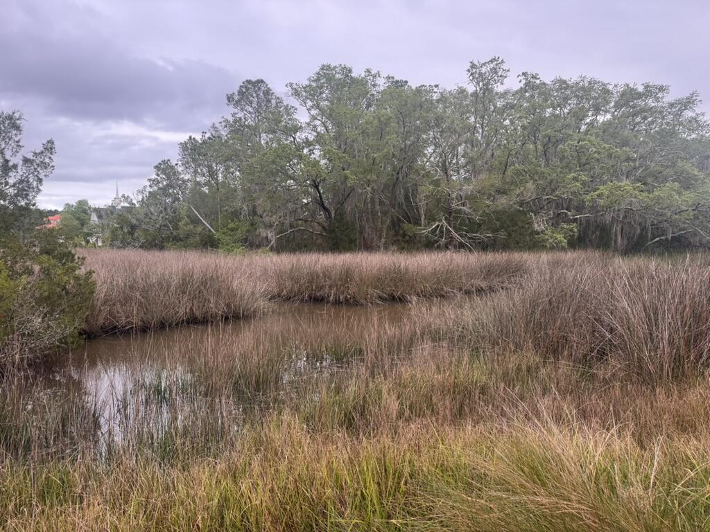 15014 Bennetts Point Road Green Pond, SC 29446 - Photo 27 of 53 D369BEA5-8863-484D-A50B-EA3DFB0352CC_1_1