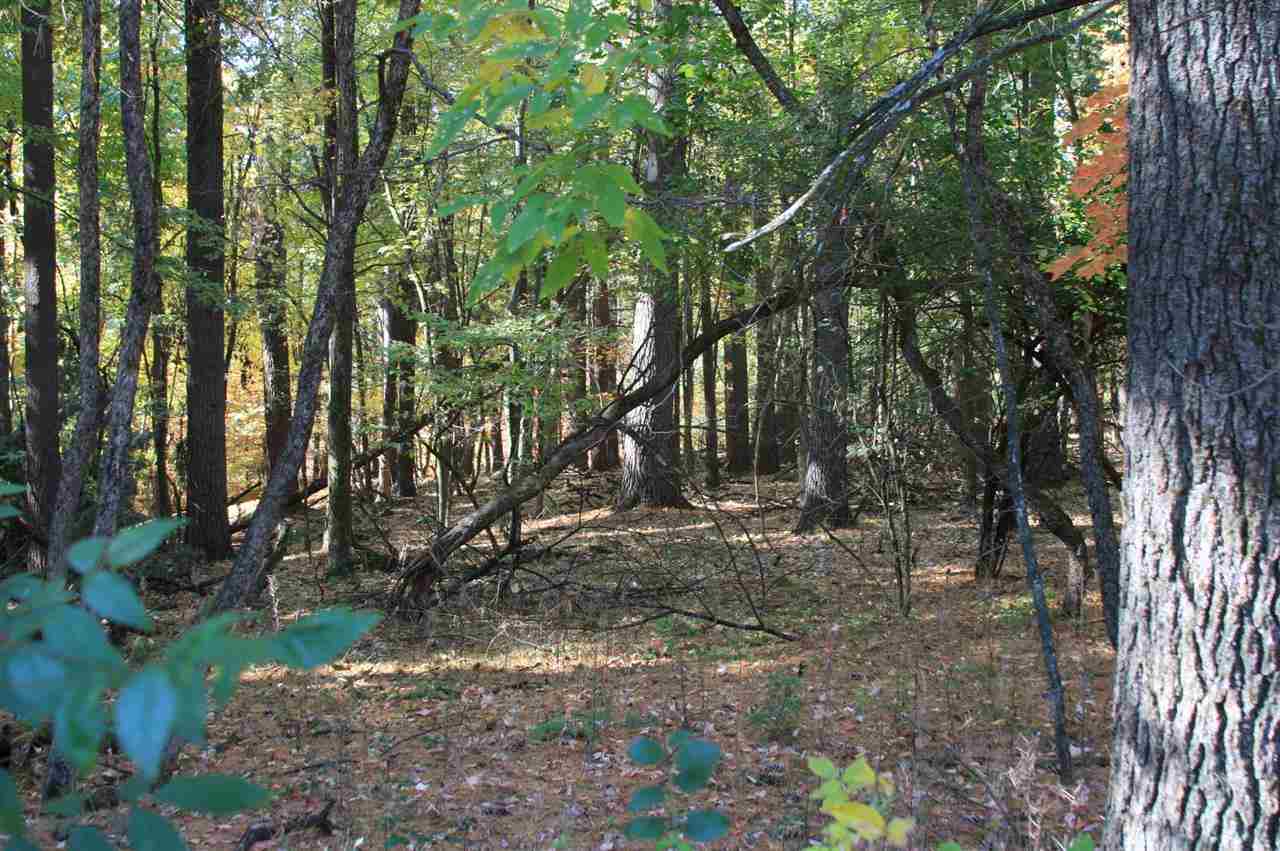 507 Clara Wisconsin Dells, WI 53965 - Photo 3 of 7