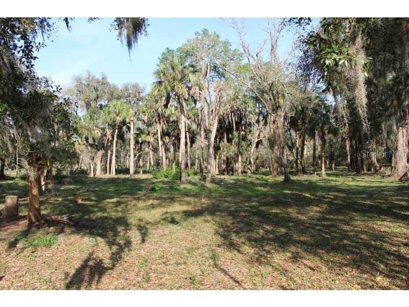 0 Spring Road Valrico, FL 33596 - Photo 1 of 1 Land - From inside the fence looking east into the lot.