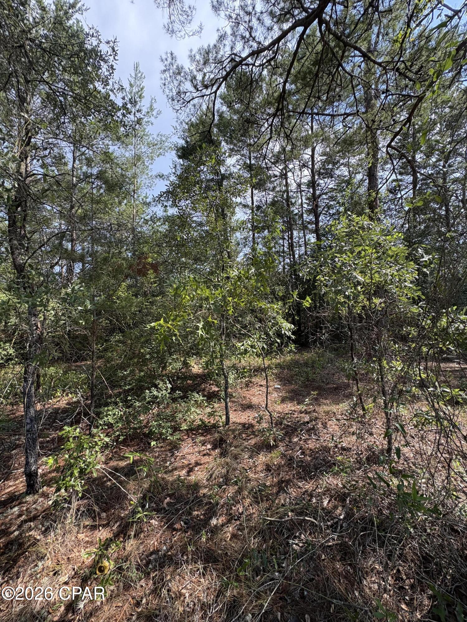 Lot 3 Dumajack Road Chipley, FL 32428 - Photo 5 of 30
