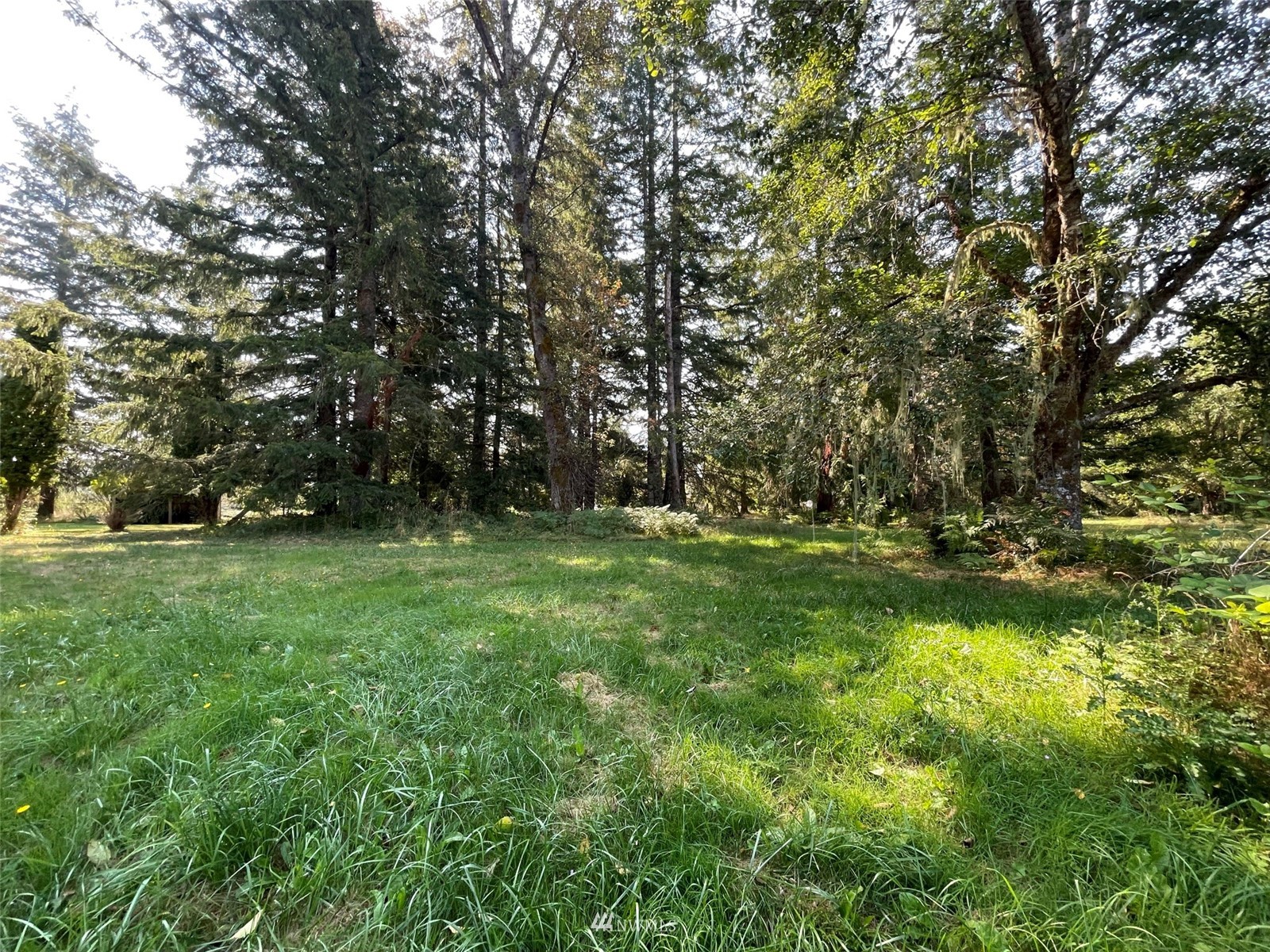 141 Shelton Road Randle, WA 98377 - Photo 15 of 22 Gallery Image 15