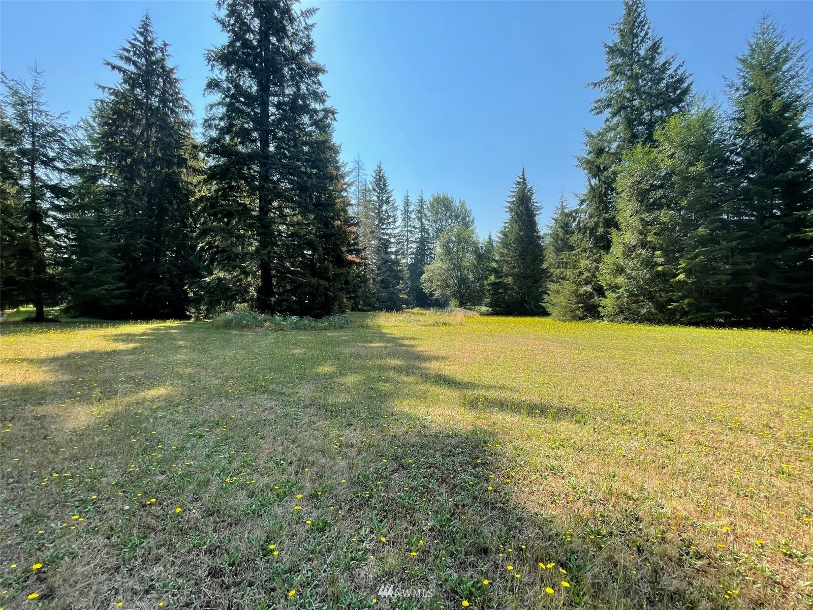 141 Shelton Road Randle, WA 98377 - Photo 16 of 22 Gallery Image 16