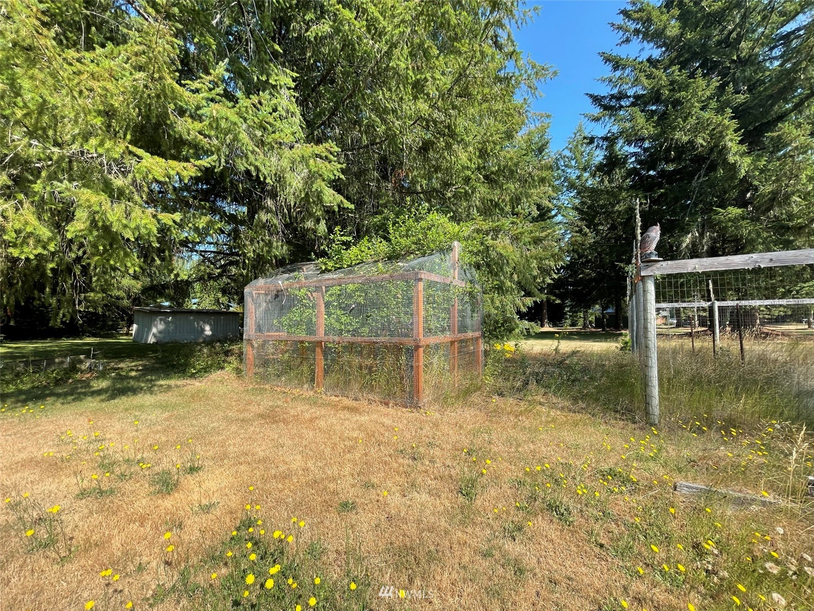 141 Shelton Road Randle, WA 98377 - Photo 18 of 22 Gallery Image 18